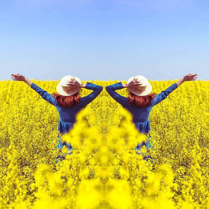 Mirror Effect Lens - Capture Stunning Reflections Instantly