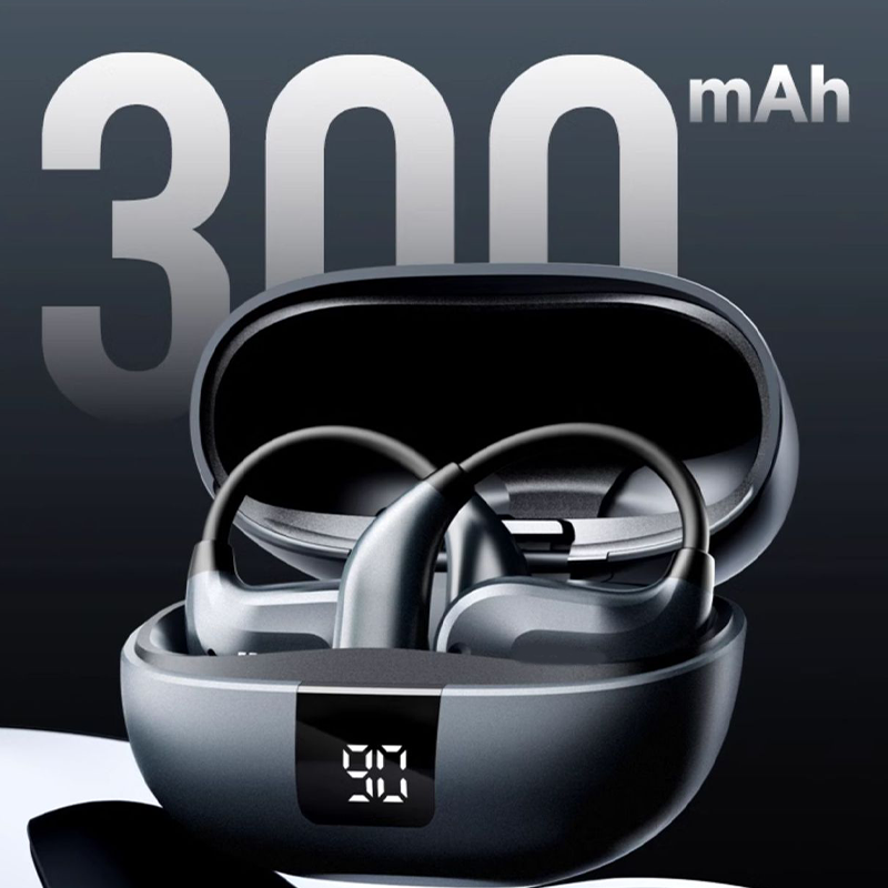 All-in-1 Portable Translation Earbuds